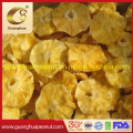 Colorful Pineapple Core Slices Natural Material